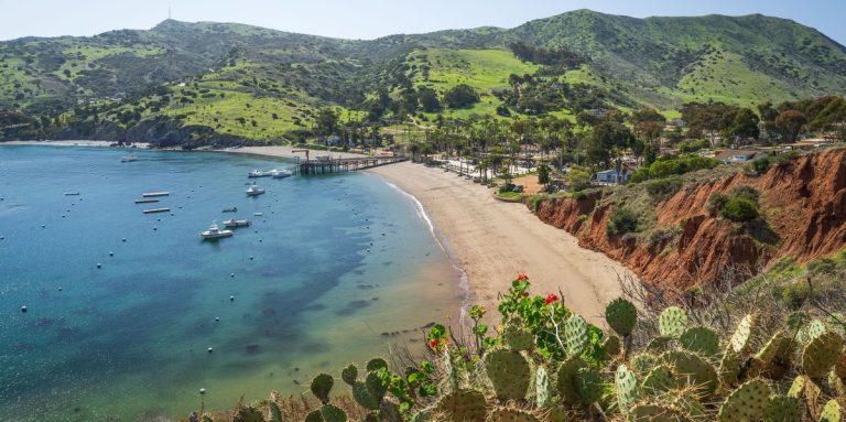 Catalina Island: Anchorages & Lessons